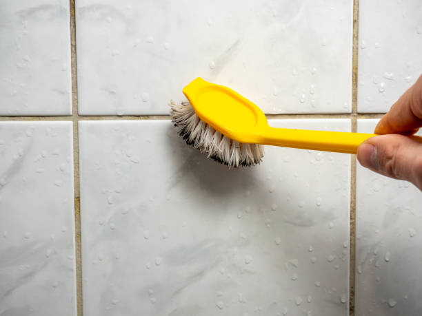 Best Health and Safety Mold Remediation in Ruidoso Downs, NM