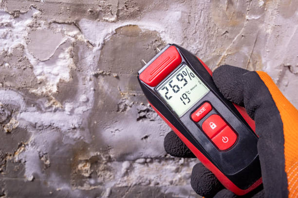 Best Residential Mold Remediation in Ruidoso Downs, NM